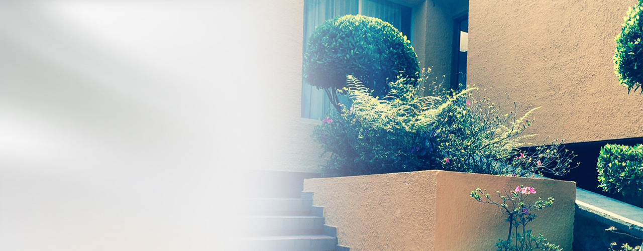 COORDI Díaz, Yaffar Consultores, S.C.